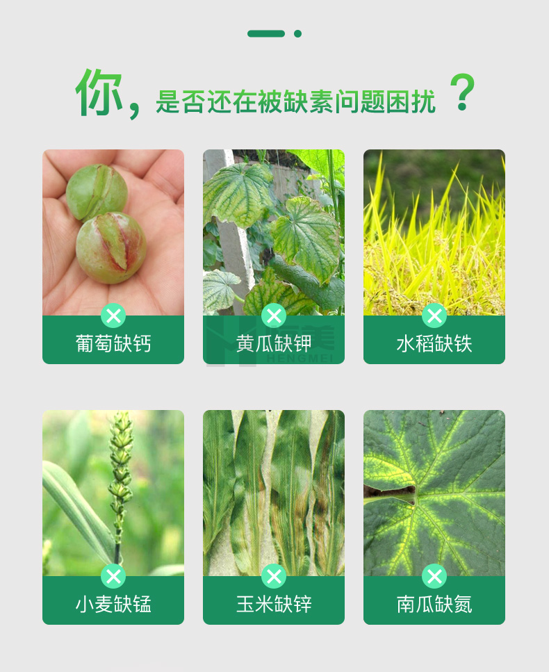 土壤成分檢測(cè)儀器